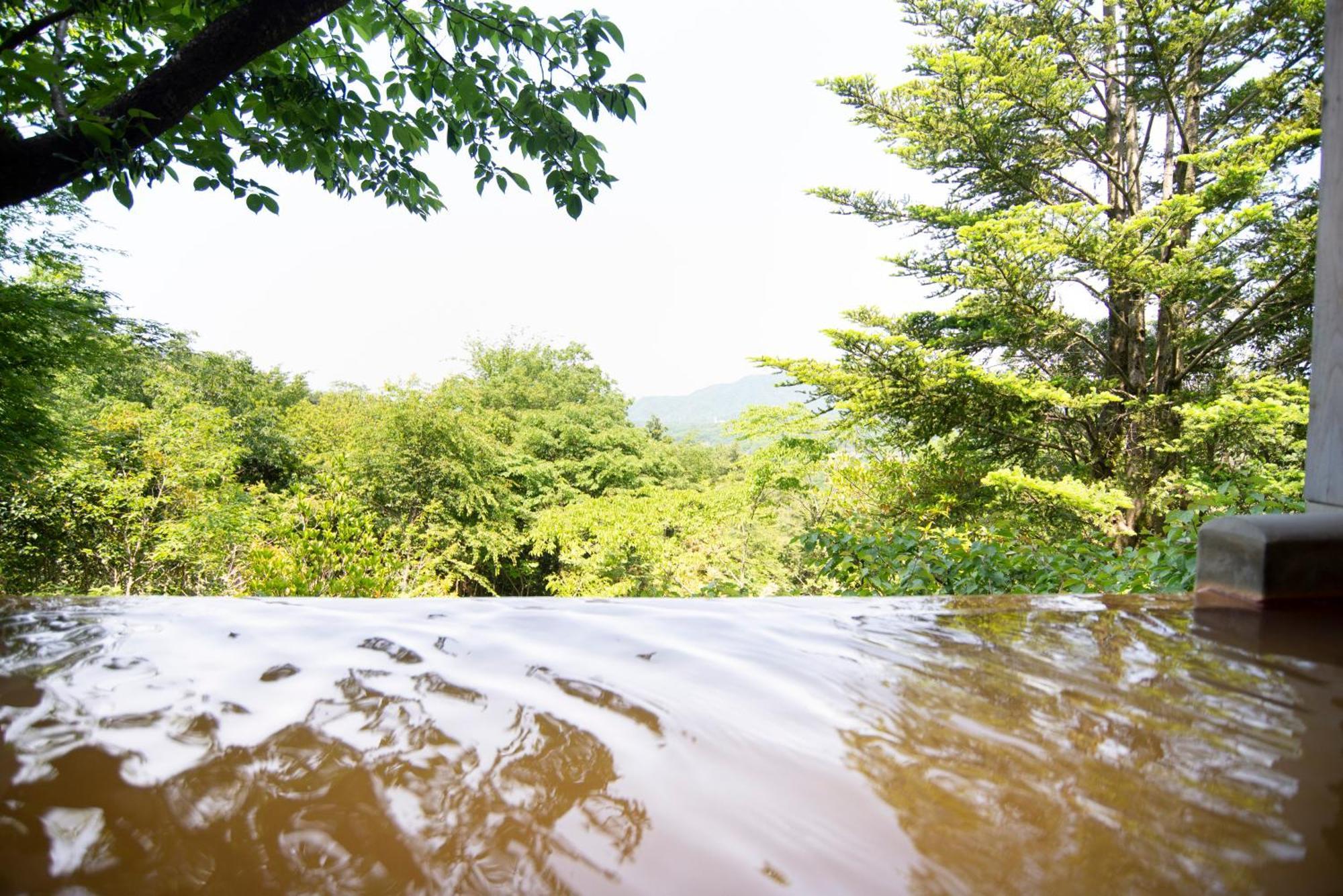 Отель Arima Onsen Motoyu Ryuusenkaku Кобе Номер фото