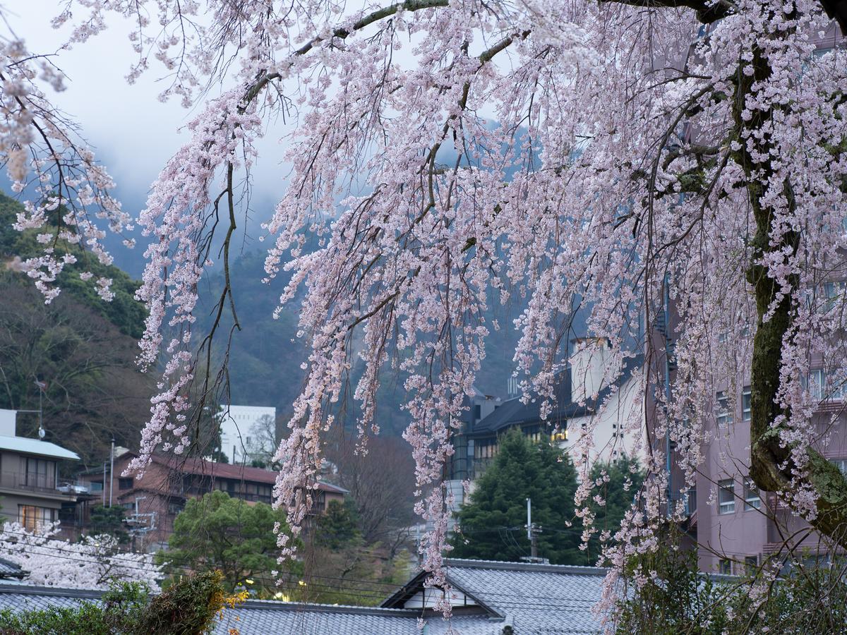 Отель Arima Onsen Motoyu Ryuusenkaku Кобе Экстерьер фото