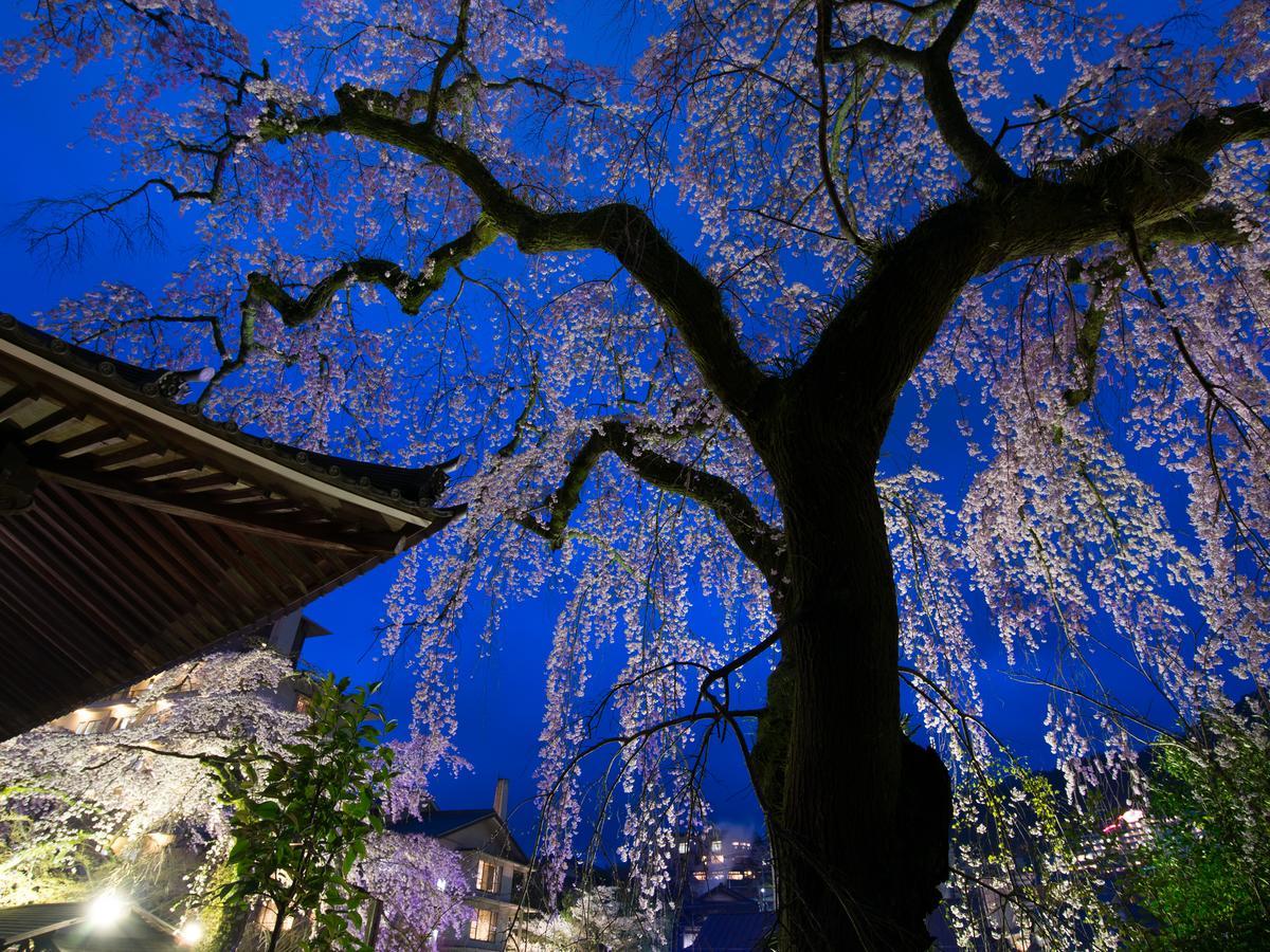 Отель Arima Onsen Motoyu Ryuusenkaku Кобе Экстерьер фото